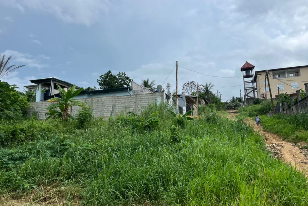 TERRAINS TITRÉS À VENDRE – PK 17