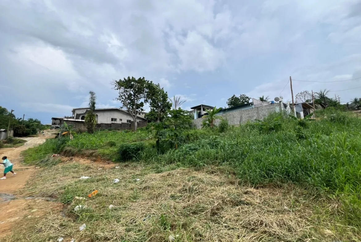 TERRAINS TITRÉS À VENDRE – PK 17