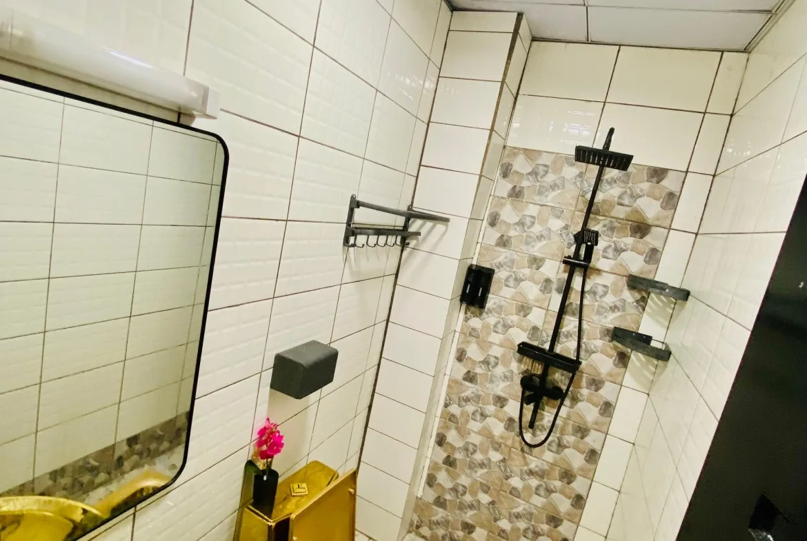 APPARTEMENT MEUBLÉ CHIC & ÉLÉGANT À LOUER – LOGPOM