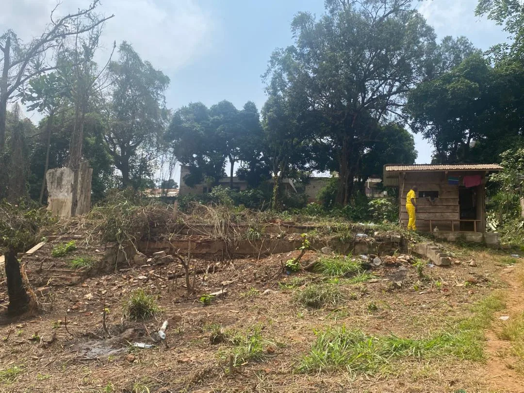 TERRAIN DE 5 547 m² À VENDRE – POSTE CENTRALE(YAOUNDE )
