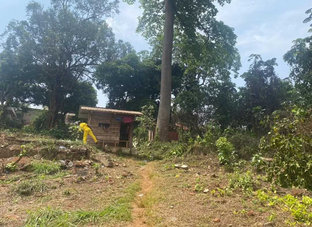 TERRAIN DE 5 547 m² À VENDRE – POSTE CENTRALE(YAOUNDE )