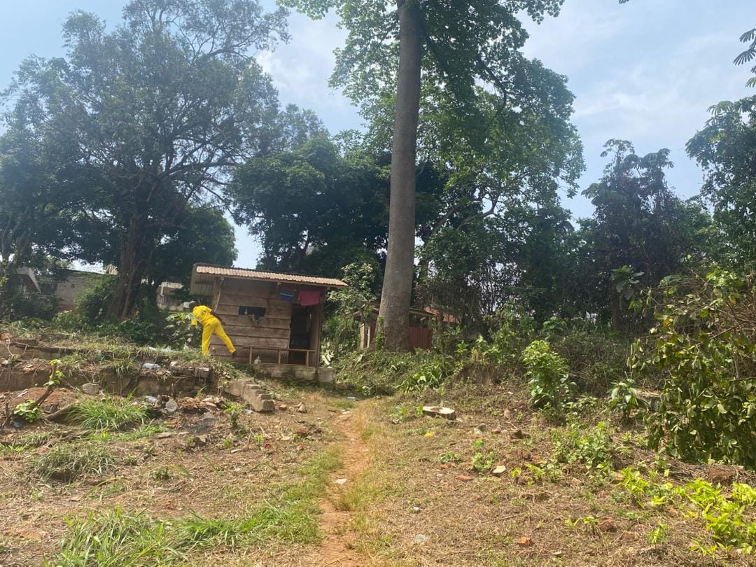 TERRAIN DE 5 547 m² À VENDRE – POSTE CENTRALE(YAOUNDE )