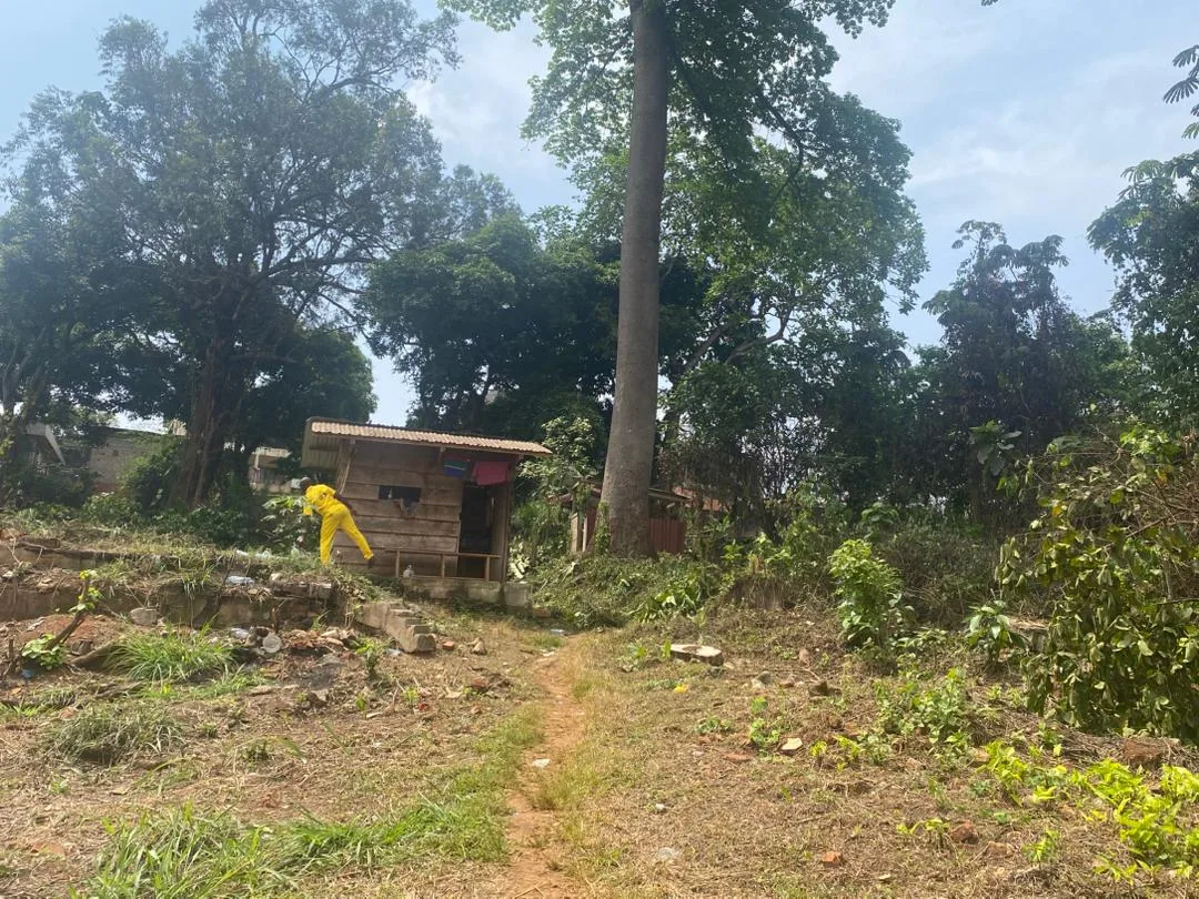 TERRAIN DE 5 547 m² À VENDRE – POSTE CENTRALE(YAOUNDE )