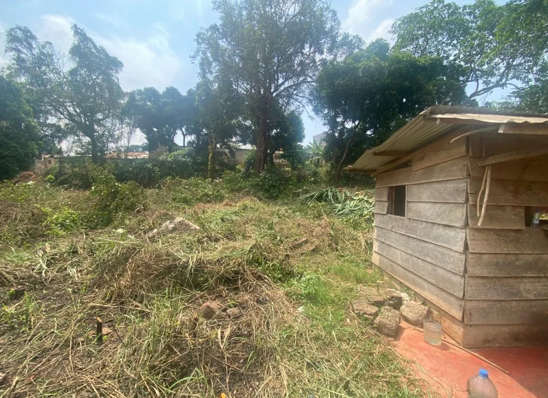 TERRAIN DE 5 547 m² À VENDRE – POSTE CENTRALE(YAOUNDE )