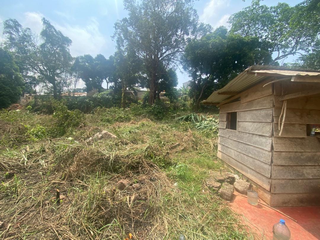 TERRAIN DE 5 547 m² À VENDRE – POSTE CENTRALE(YAOUNDE )