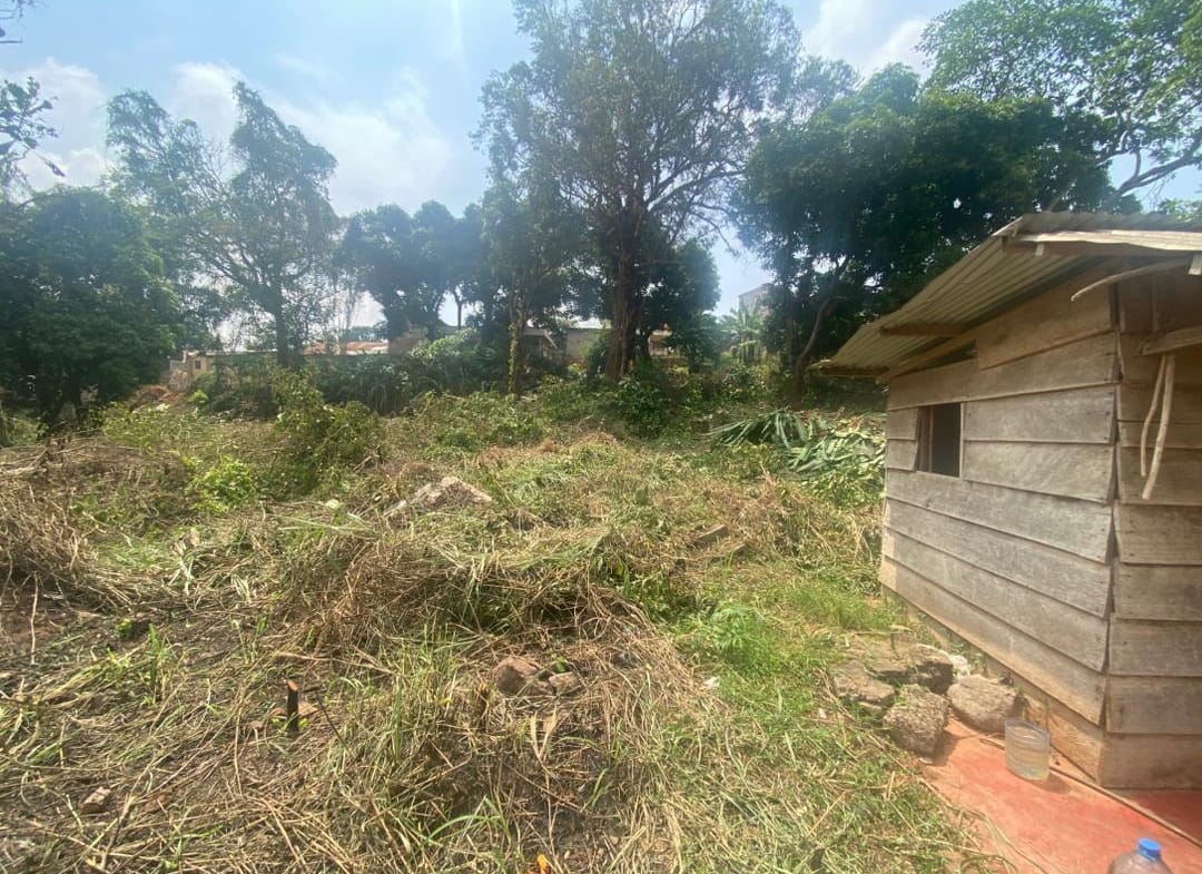 TERRAIN DE 5 547 m² À VENDRE – POSTE CENTRALE(YAOUNDE )