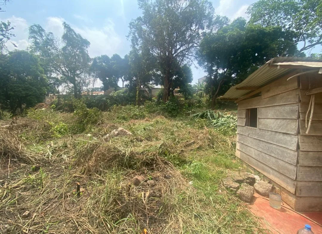TERRAIN DE 5 547 m² À VENDRE – POSTE CENTRALE(YAOUNDE )