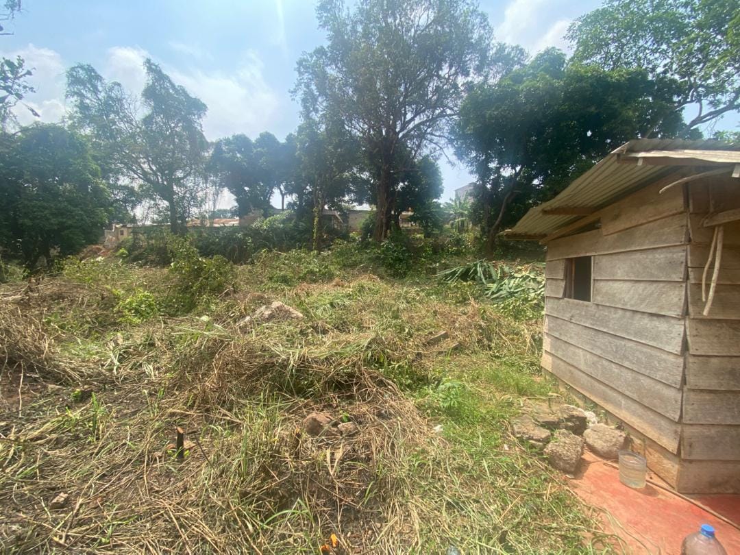 TERRAIN DE 5 547 m² À VENDRE – POSTE CENTRALE(YAOUNDE )