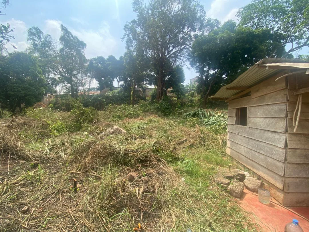 TERRAIN DE 5 547 m² À VENDRE – POSTE CENTRALE(YAOUNDE )