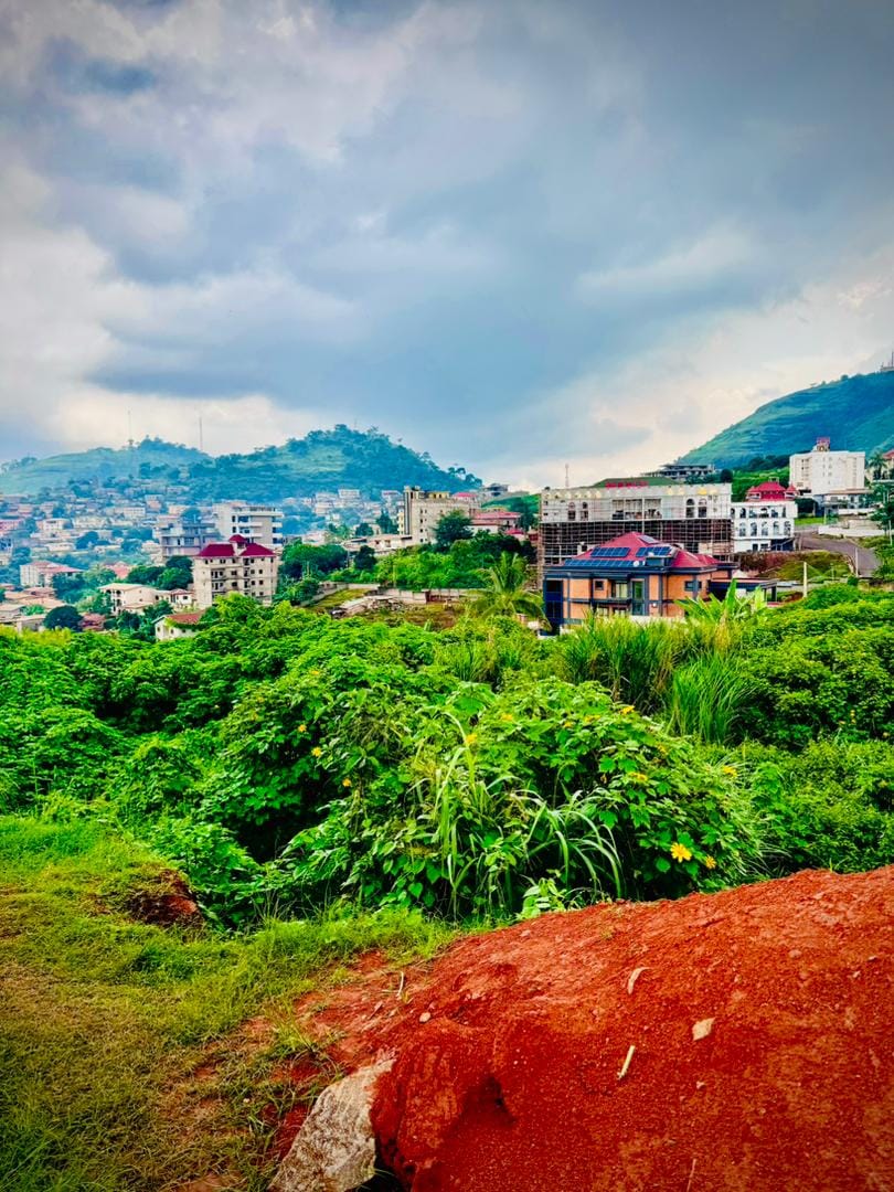 OPPORTUNITÉ FONCIÈRE EXCEPTIONNELLE À TSINGA – YAOUNDÉ