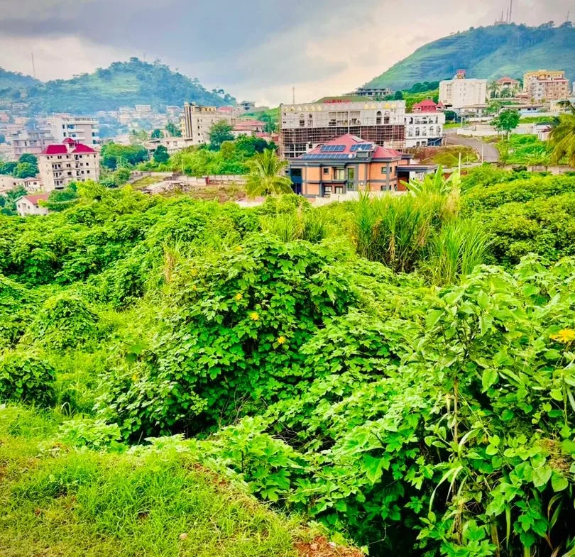 OPPORTUNITÉ FONCIÈRE EXCEPTIONNELLE À TSINGA – YAOUNDÉ