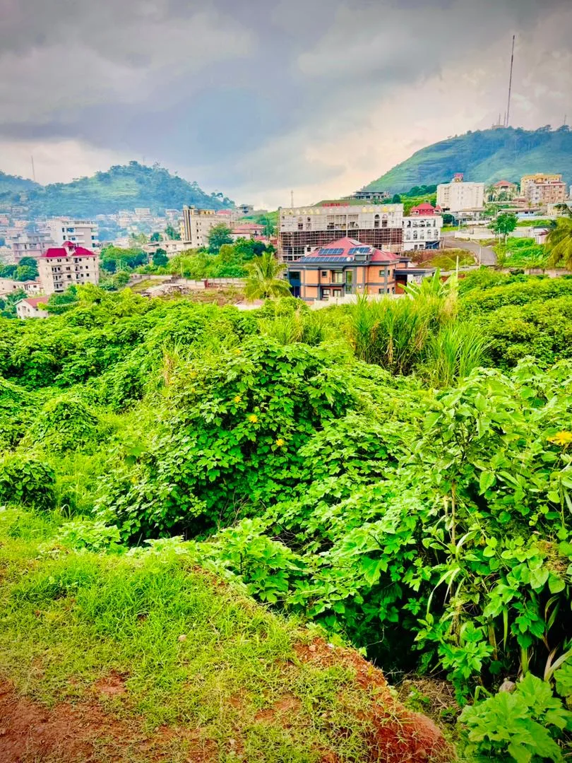 OPPORTUNITÉ FONCIÈRE EXCEPTIONNELLE À TSINGA – YAOUNDÉ