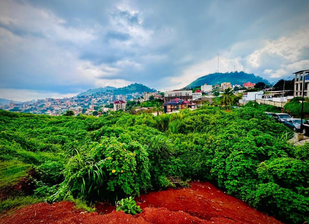 OPPORTUNITÉ FONCIÈRE EXCEPTIONNELLE À TSINGA – YAOUNDÉ