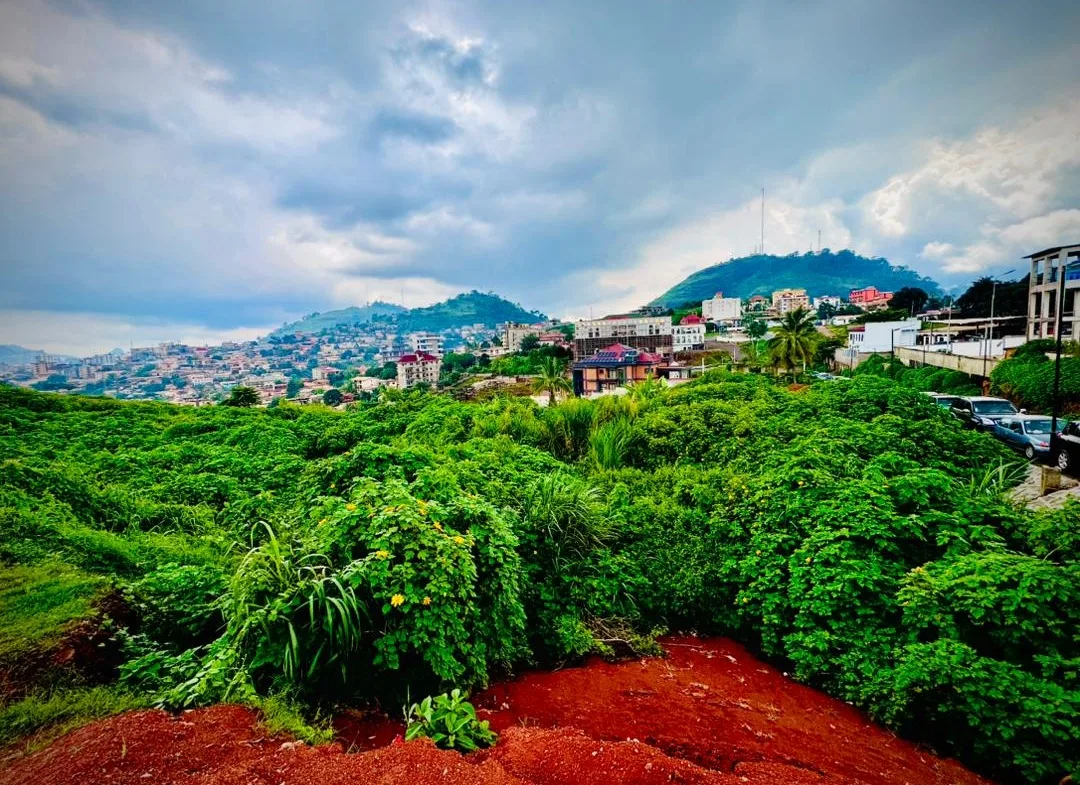 OPPORTUNITÉ FONCIÈRE EXCEPTIONNELLE À TSINGA – YAOUNDÉ