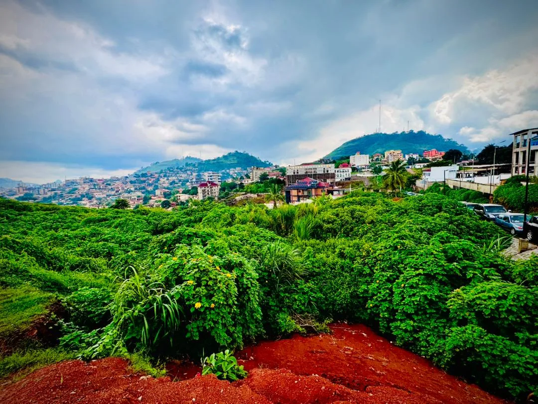 OPPORTUNITÉ FONCIÈRE EXCEPTIONNELLE À TSINGA – YAOUNDÉ