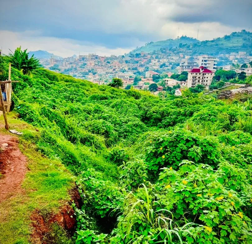 OPPORTUNITÉ FONCIÈRE EXCEPTIONNELLE À TSINGA – YAOUNDÉ
