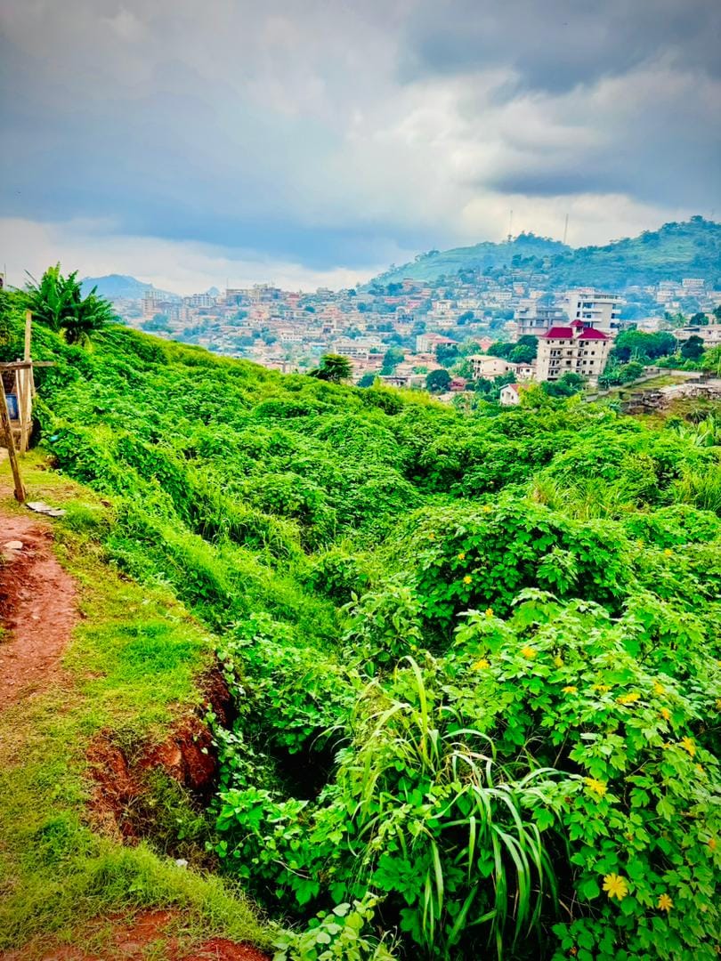 OPPORTUNITÉ FONCIÈRE EXCEPTIONNELLE À TSINGA – YAOUNDÉ