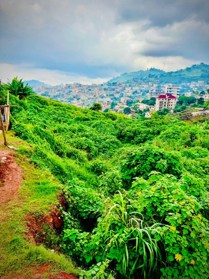 OPPORTUNITÉ FONCIÈRE EXCEPTIONNELLE À TSINGA – YAOUNDÉ