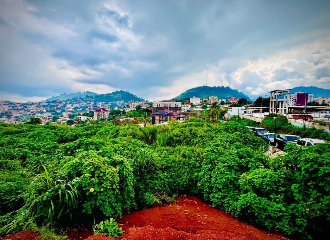 OPPORTUNITÉ FONCIÈRE EXCEPTIONNELLE À TSINGA – YAOUNDÉ