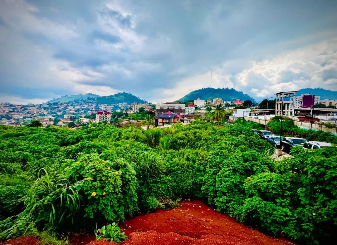OPPORTUNITÉ FONCIÈRE EXCEPTIONNELLE À TSINGA – YAOUNDÉ