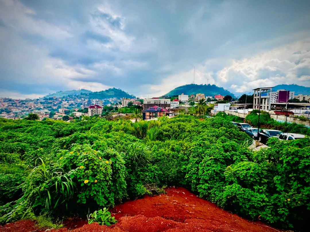 OPPORTUNITÉ FONCIÈRE EXCEPTIONNELLE À TSINGA – YAOUNDÉ