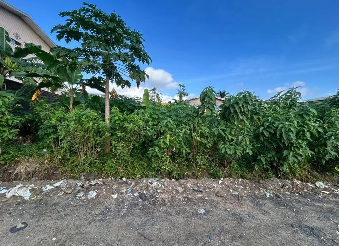 TERRAIN TITRÉ À VENDRE – MAKEPE BELAVIE, DOUALA