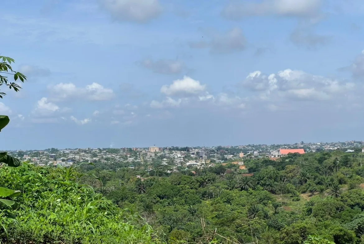 INVESTISSEZ À PK17 – DOUALA