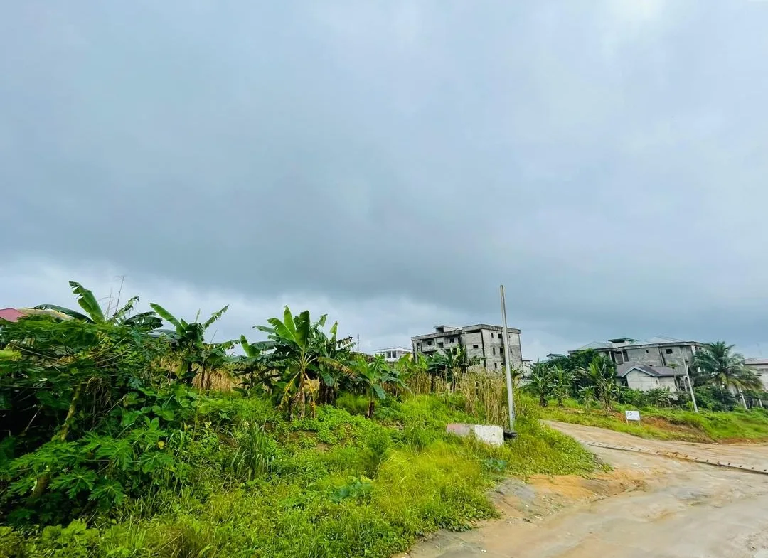 Terrain à vendre à Japoma, près de la Clinique du Stade