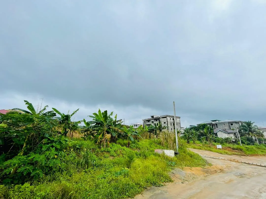 Terrain à vendre à Japoma, près de la Clinique du Stade