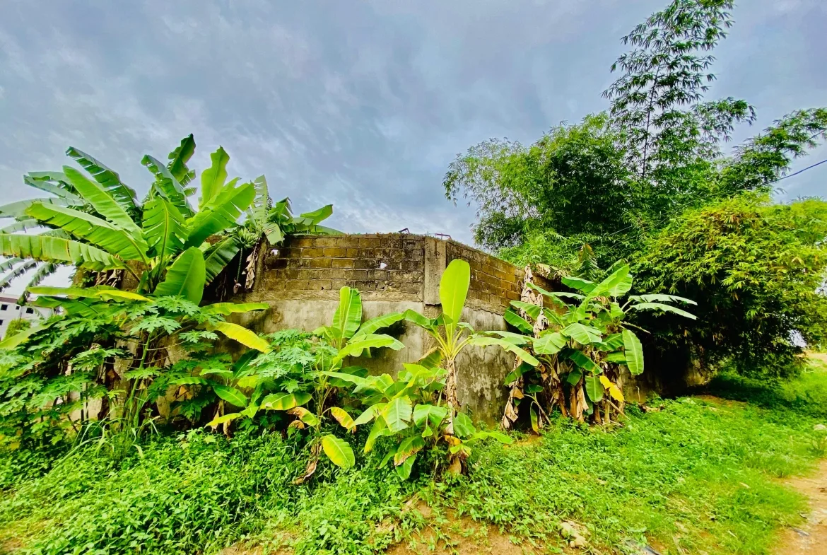 GROSSE OPPORTUNITE D’ACHAT A LOGBESSOU‼️DEVENEZ PROPRIETAIRE DE CE TERRAIN DE 14000m² AVEC ENTREPOT BATI
