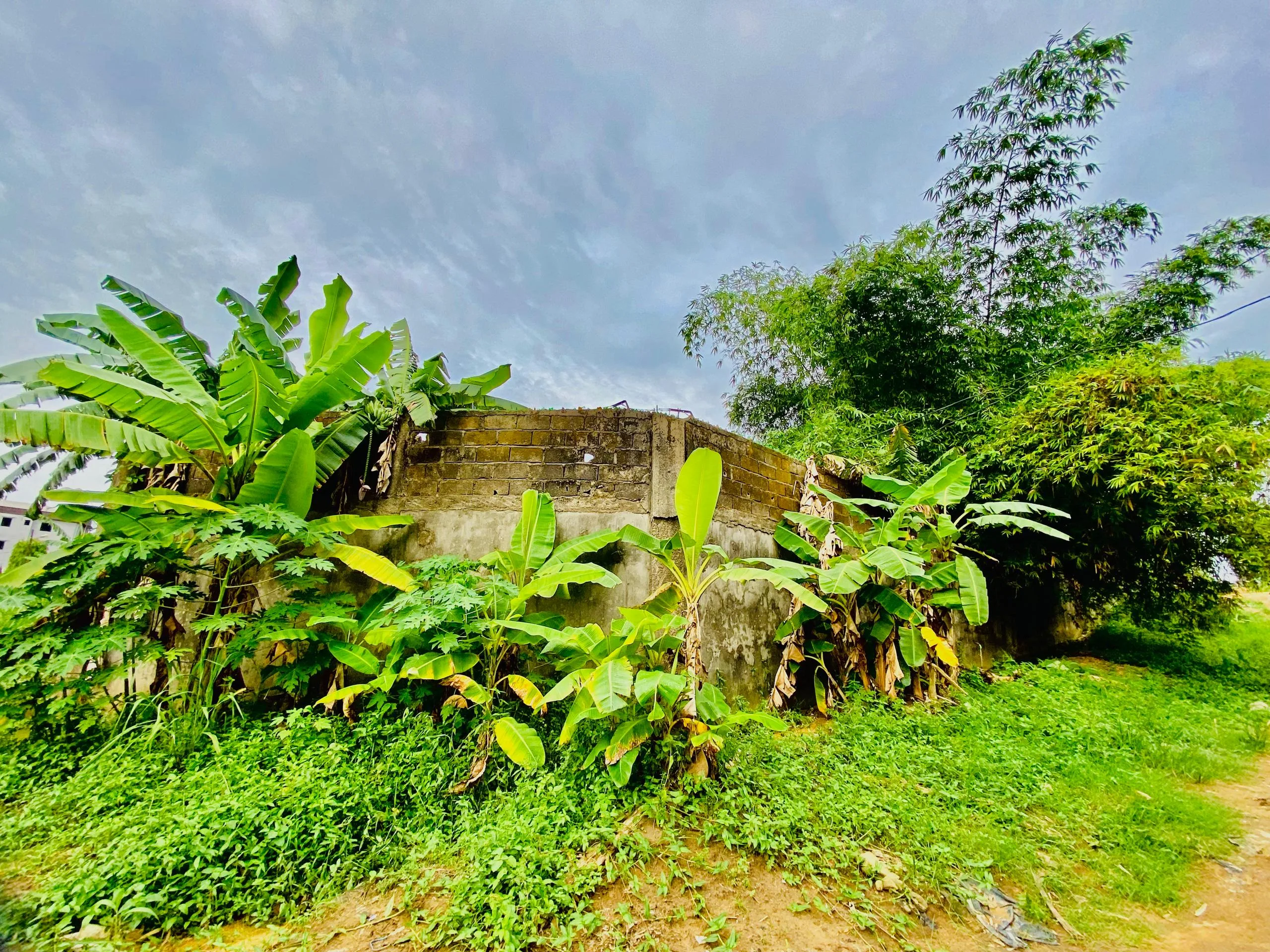 GROSSE OPPORTUNITE D’ACHAT A LOGBESSOU‼️DEVENEZ PROPRIETAIRE DE CE TERRAIN DE 14000m² AVEC ENTREPOT BATI