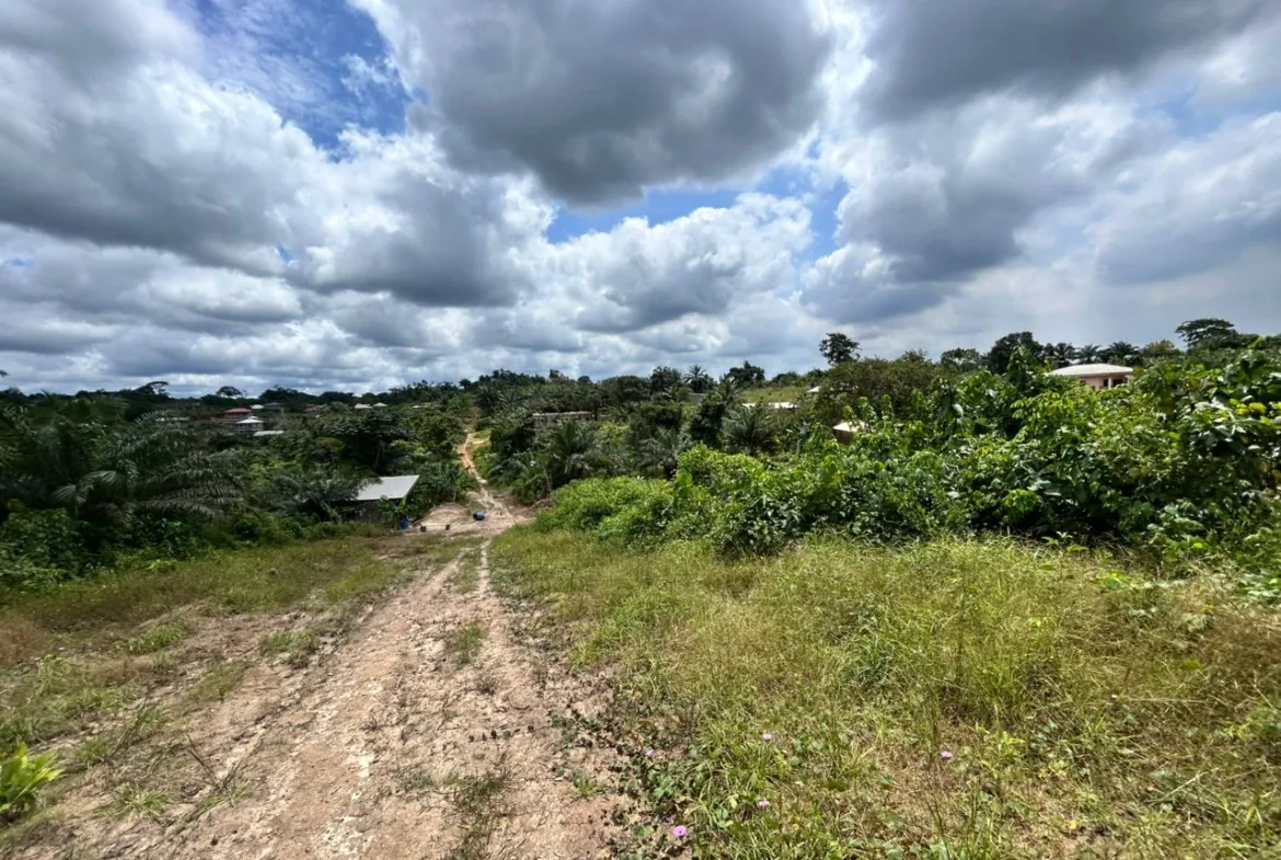 TERRAIN À VENDRE – PK14 -2N market(AVANT L’ÉGLISE DES 3 TORTUES)