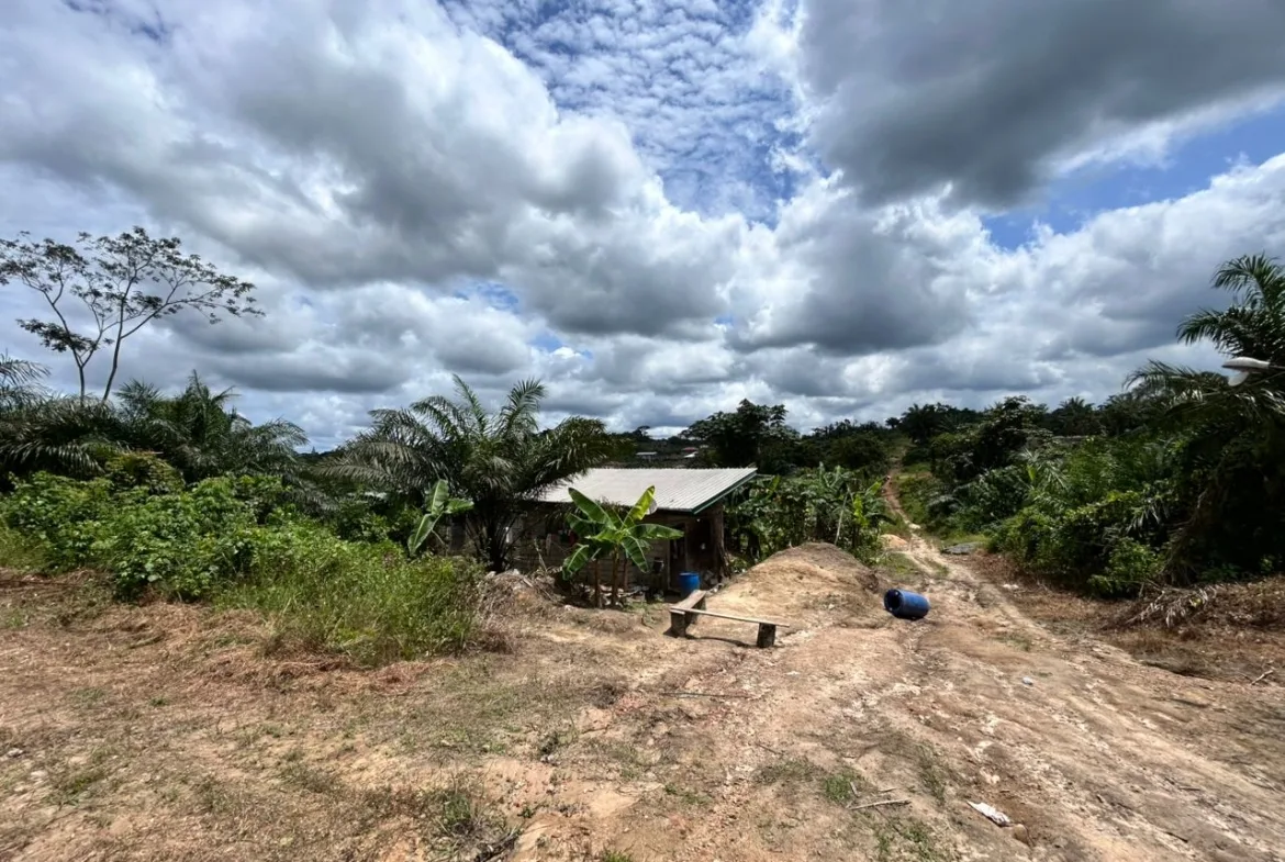 TERRAIN À VENDRE – PK14 -2N market(AVANT L’ÉGLISE DES 3 TORTUES)