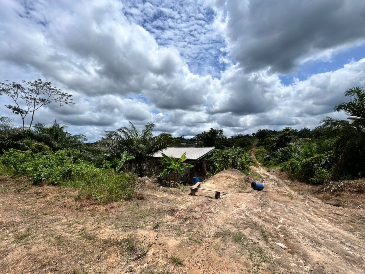 TERRAIN À VENDRE – PK14 -2N market(AVANT L’ÉGLISE DES 3 TORTUES)