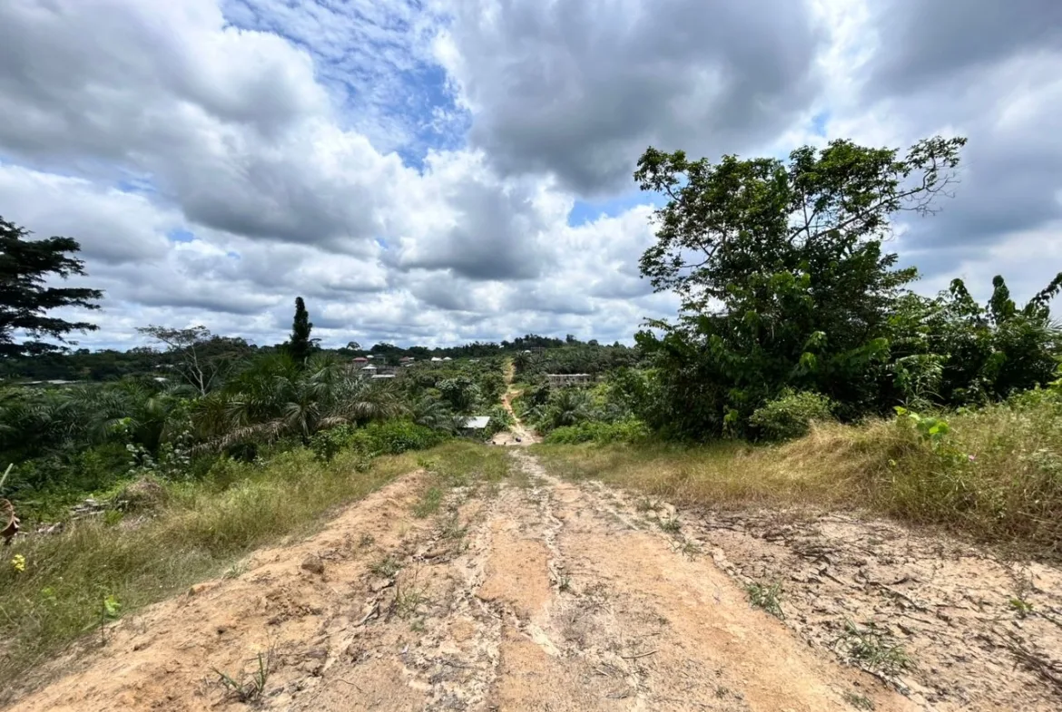 TERRAIN À VENDRE – PK14 -2N market(AVANT L’ÉGLISE DES 3 TORTUES)