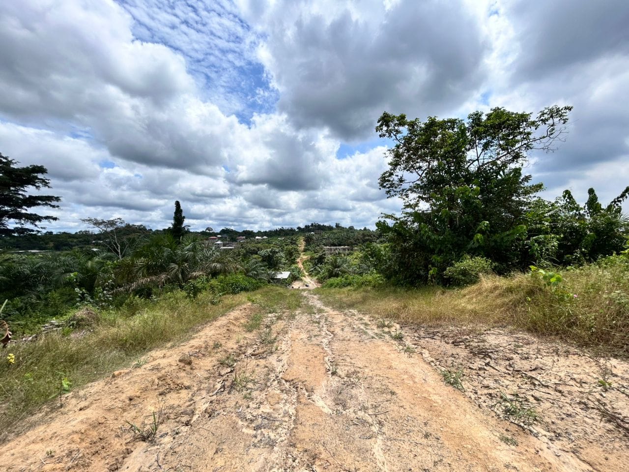 TERRAIN À VENDRE – PK14 -2N market(AVANT L’ÉGLISE DES 3 TORTUES)
