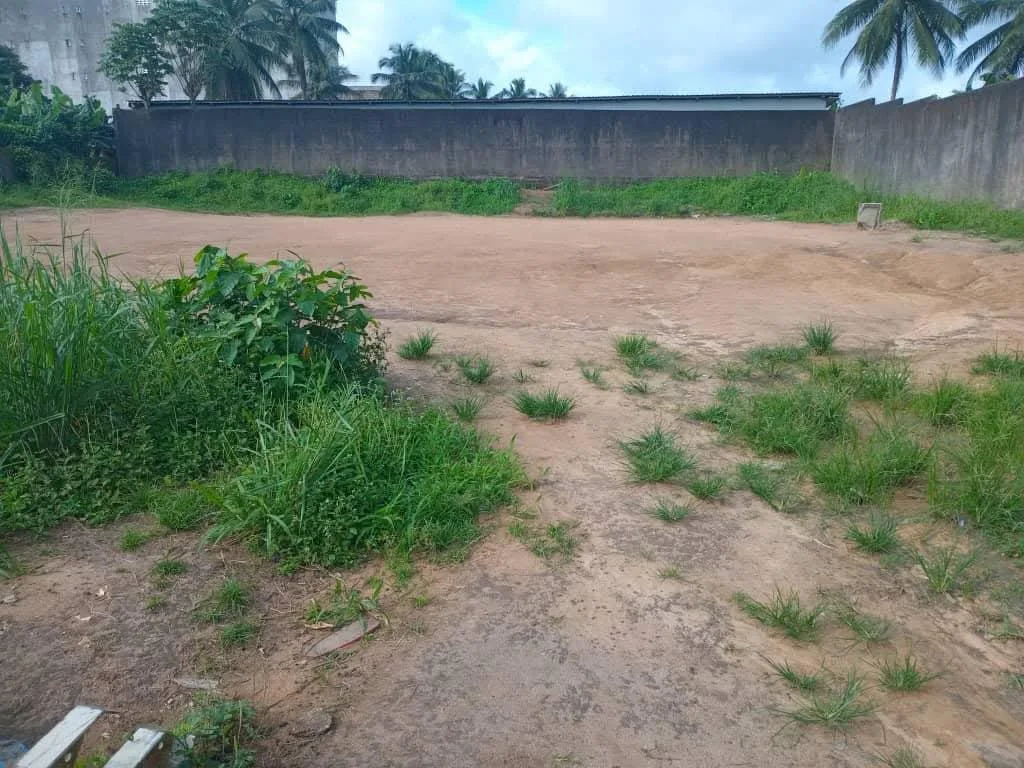 TERRAIN À VENDRE À NDOKOTI – UNE OPPORTUNITÉ À NE PAS MANQUER !