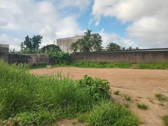 TERRAIN À VENDRE À NDOKOTI – UNE OPPORTUNITÉ À NE PAS MANQUER !