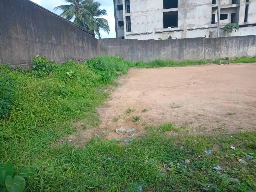 TERRAIN À VENDRE À NDOKOTI – UNE OPPORTUNITÉ À NE PAS MANQUER !