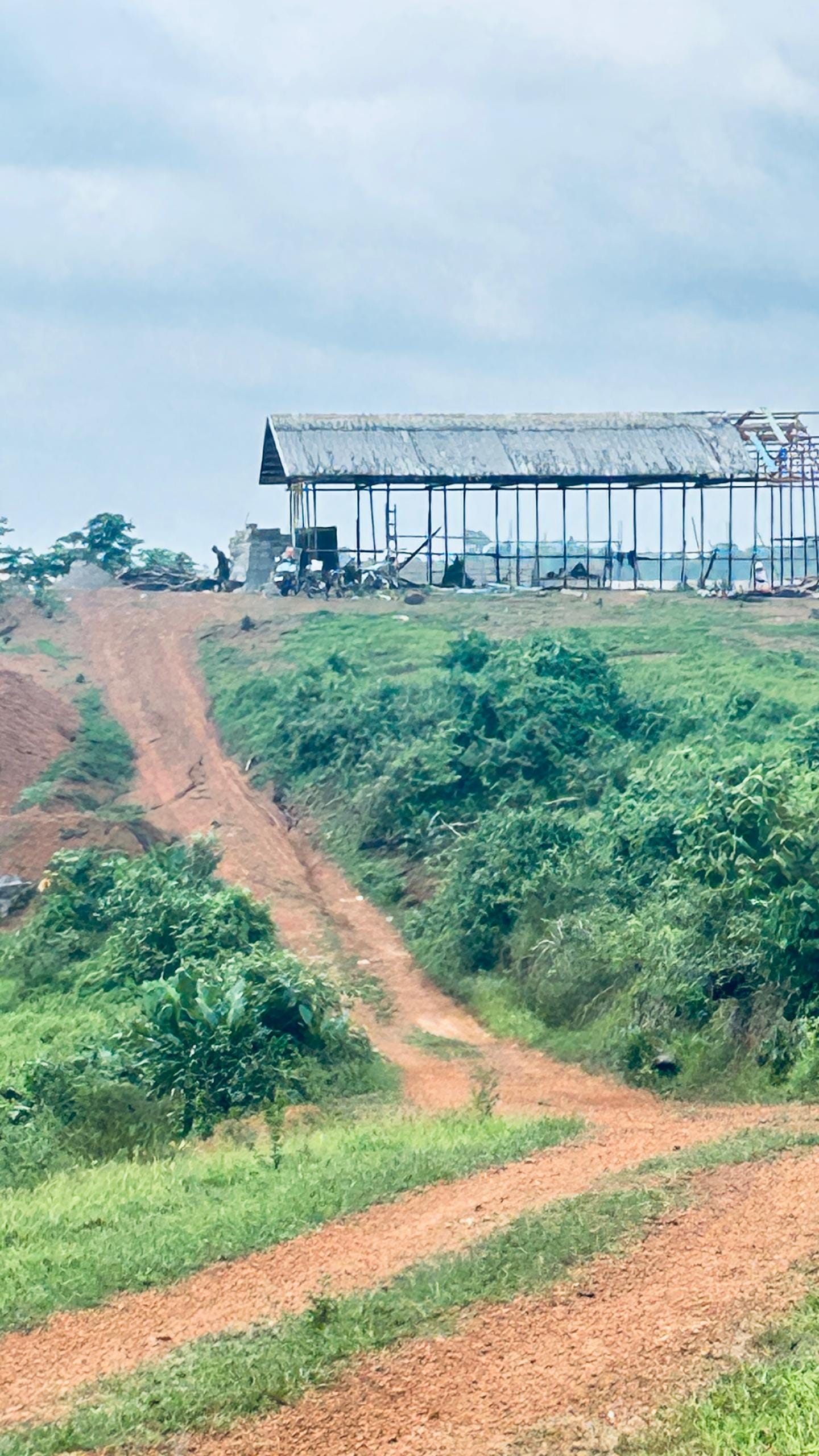 44 HECTARES À VENDRE À DIBAMBA – OPPORTUNITÉ EXCEPTIONNELLE !