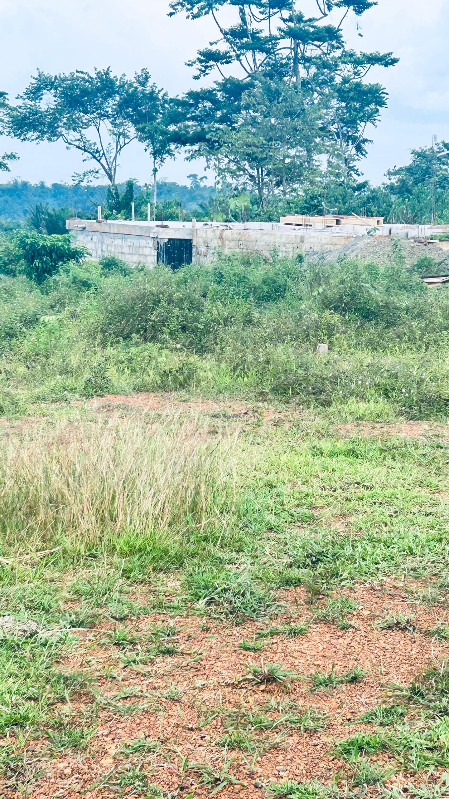 44 HECTARES À VENDRE À DIBAMBA – OPPORTUNITÉ EXCEPTIONNELLE !