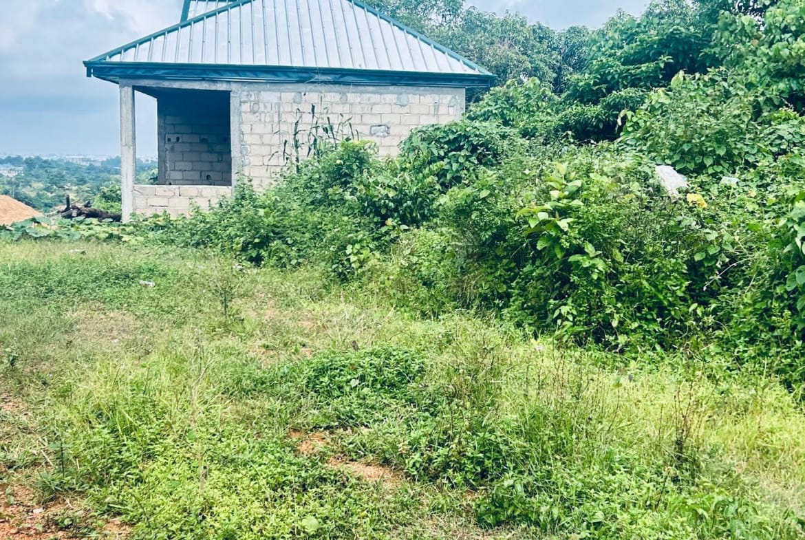 44 HECTARES À VENDRE À DIBAMBA – OPPORTUNITÉ EXCEPTIONNELLE !