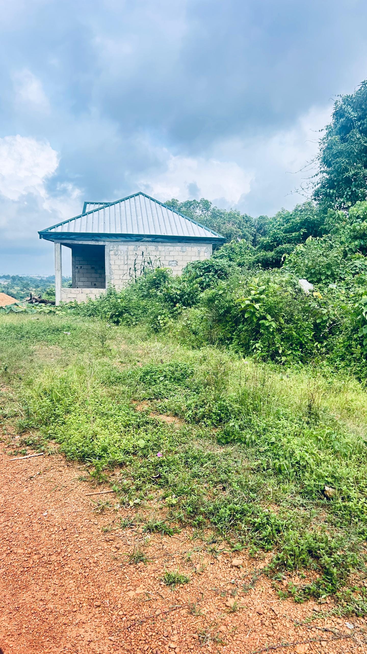 44 HECTARES À VENDRE À DIBAMBA – OPPORTUNITÉ EXCEPTIONNELLE !