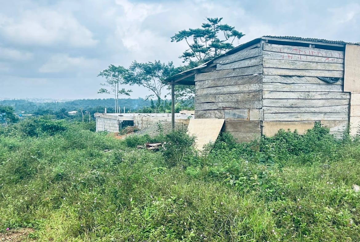 44 HECTARES À VENDRE À DIBAMBA – OPPORTUNITÉ EXCEPTIONNELLE !