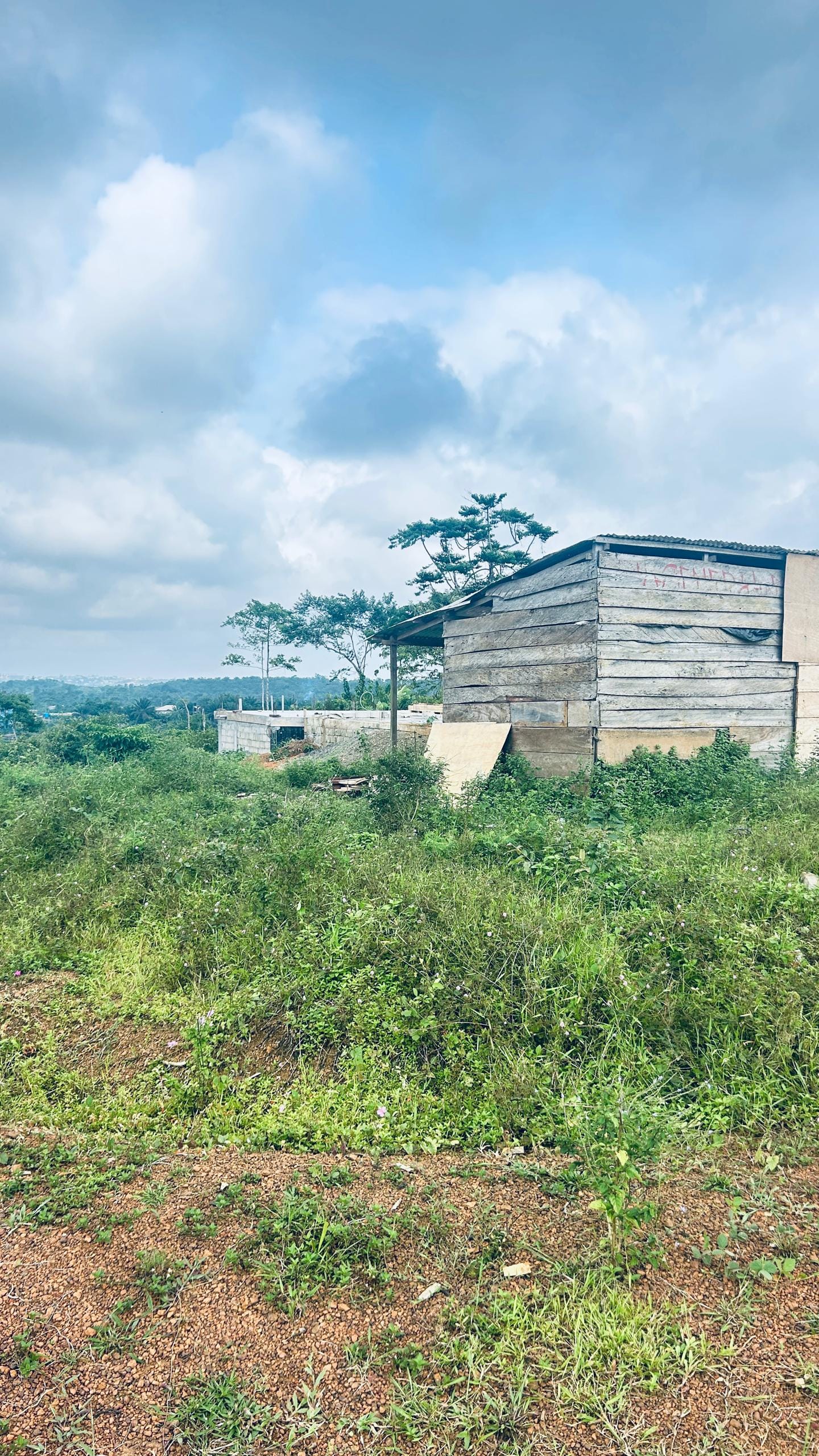 44 HECTARES À VENDRE À DIBAMBA – OPPORTUNITÉ EXCEPTIONNELLE !