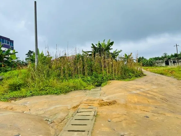 Terrain à vendre à Japoma, près de la Clinique du Stade
