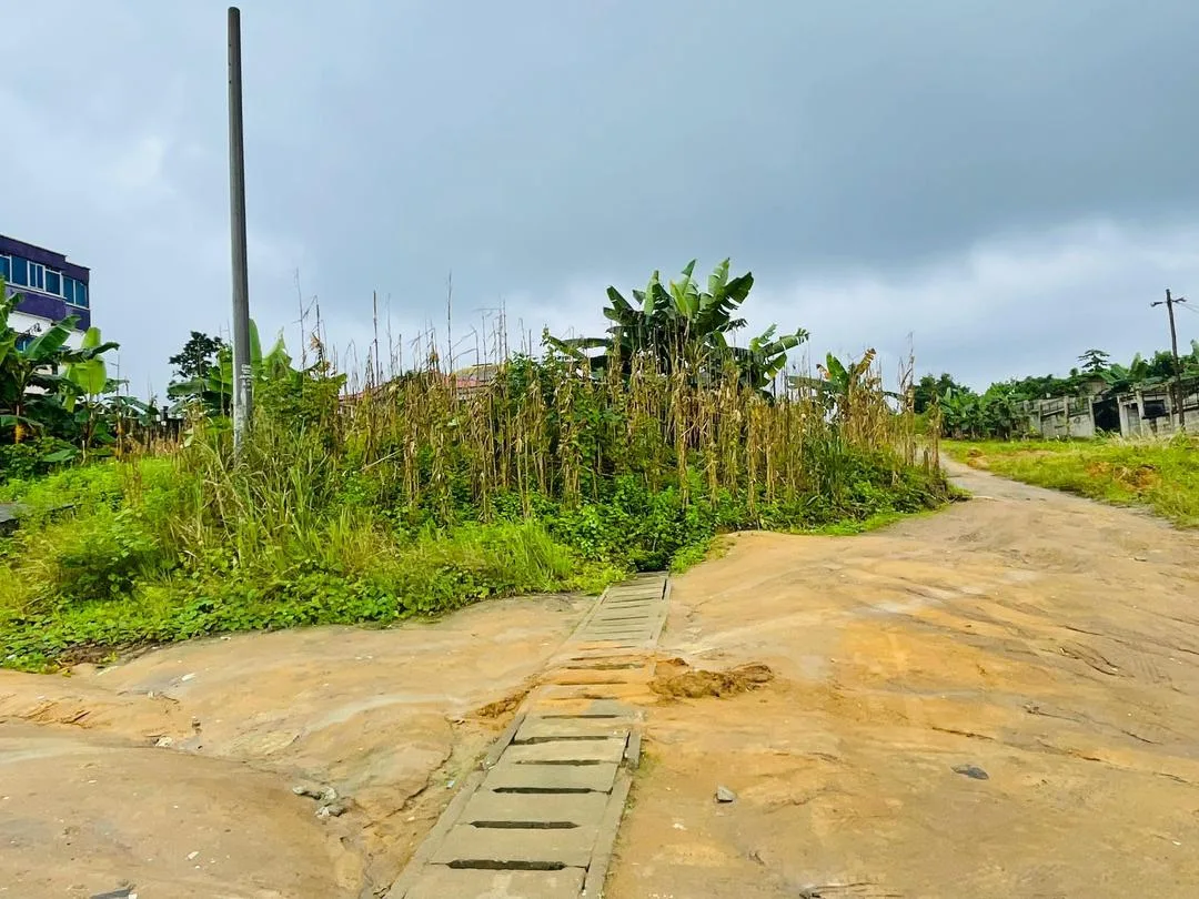 Terrain à vendre à Japoma, près de la Clinique du Stade
