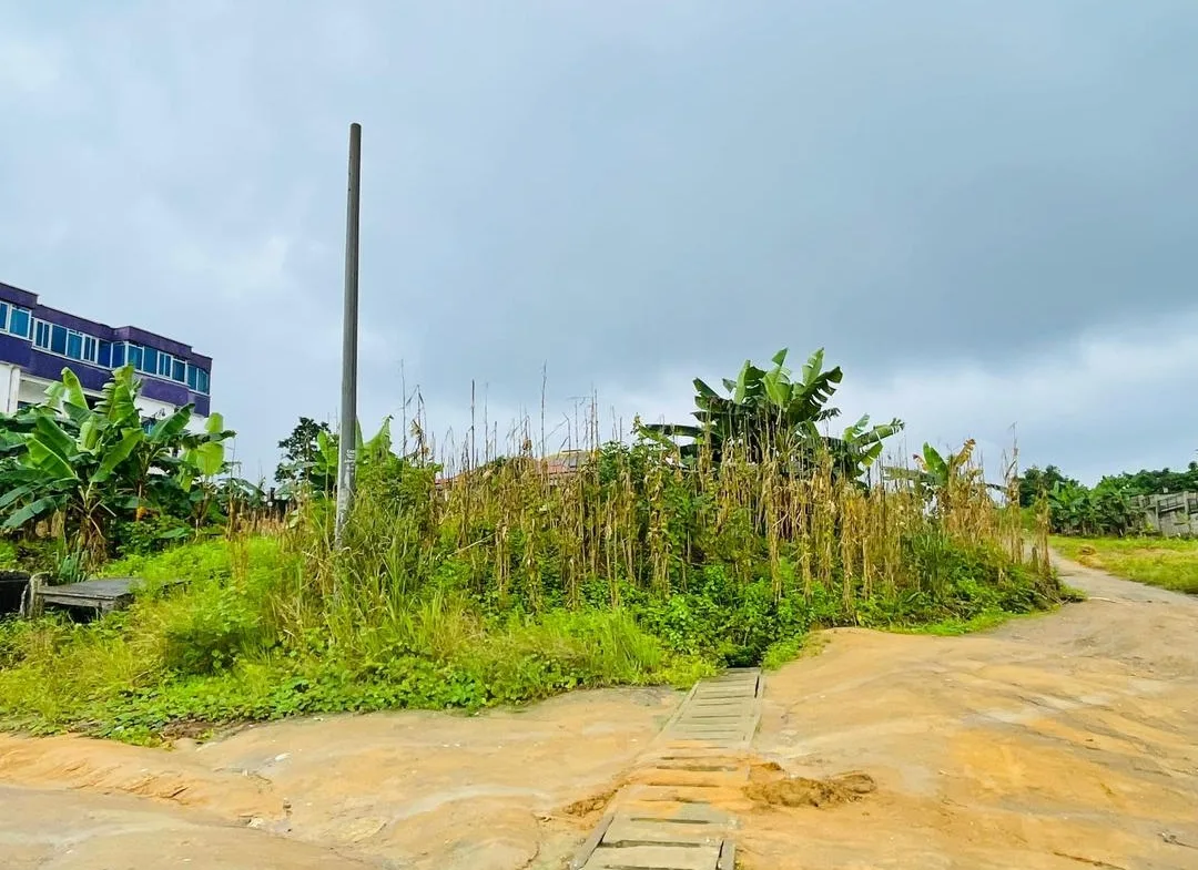Terrain à vendre à Japoma, près de la Clinique du Stade