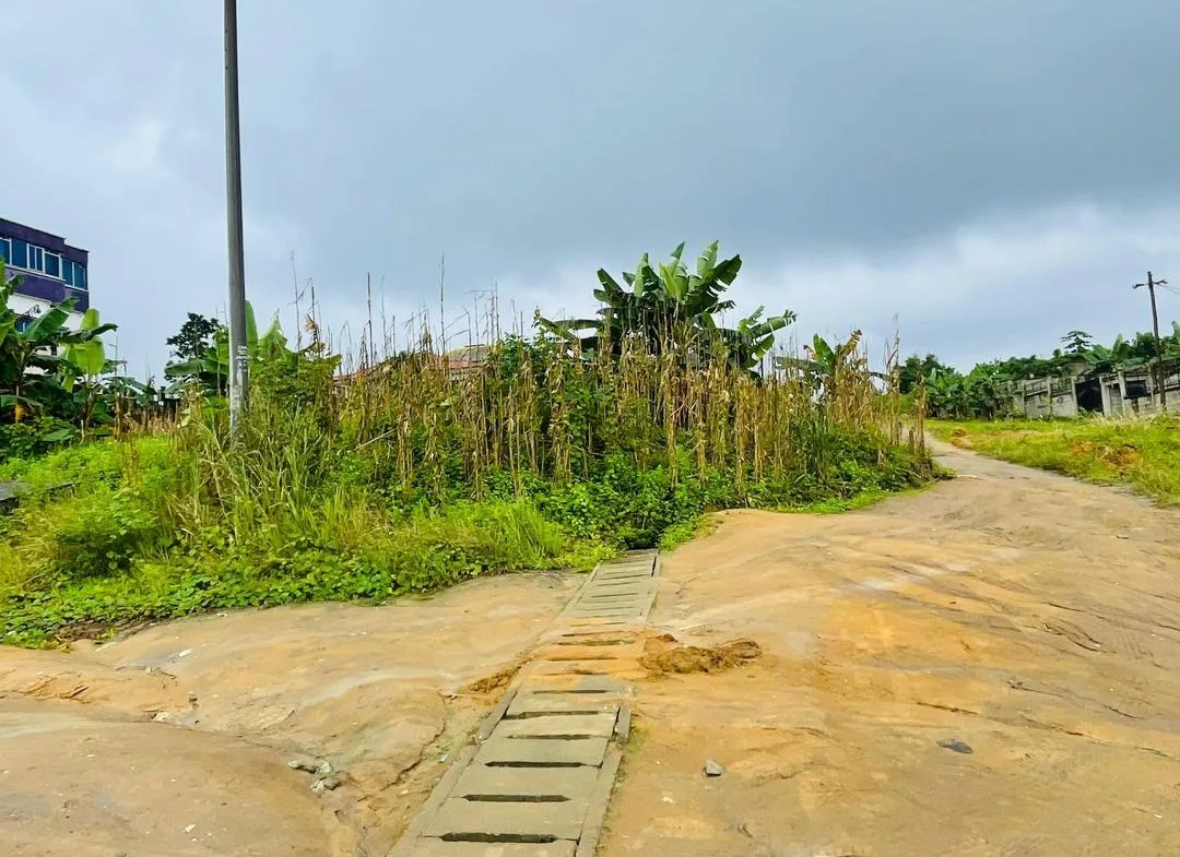 Terrain à vendre à Japoma, près de la Clinique du Stade