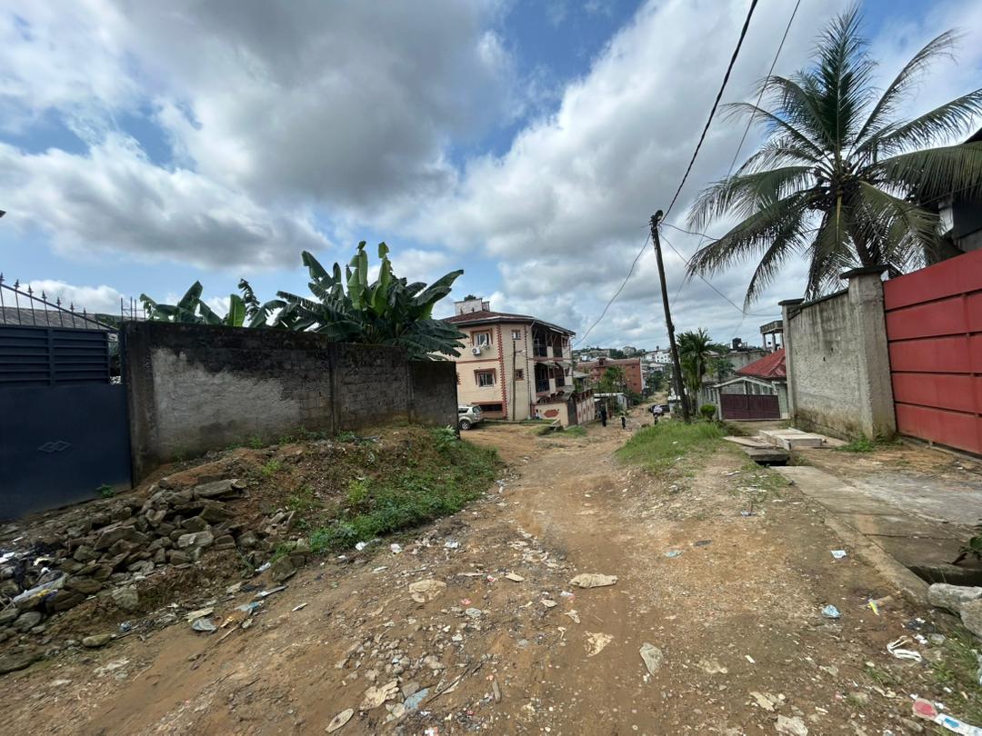  TERRAIN À VENDRE – LOGBESSOU CRTV bar